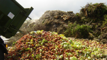 Sprechi alimentari: un nuovo standard globale per ridurli