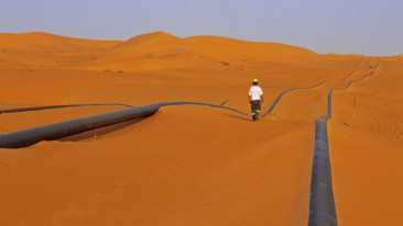 Biodiversità e Oil&Gas: quando le partnership aziende-scienziati fanno bene all’ambiente e al business