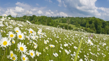 Ambiente, una priorità per i cittadini europei