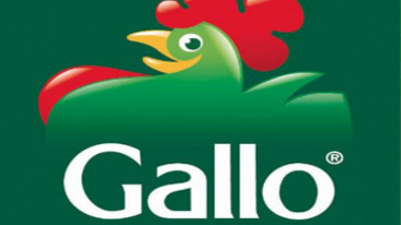 Riso Gallo, 160 anni di storia e un futuro sostenibile