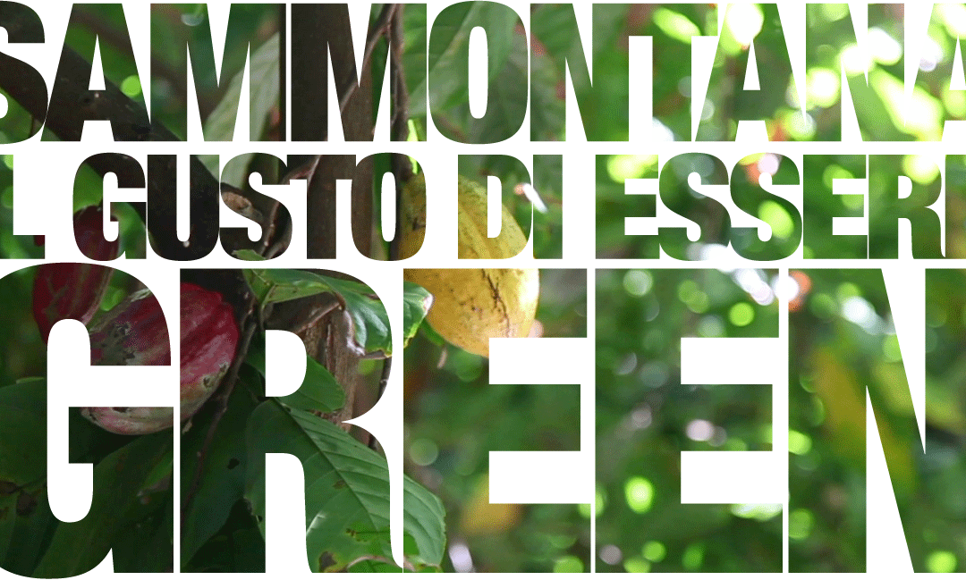 La sostenibilità del Barattolino