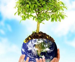 Chi ha paura della CSR?