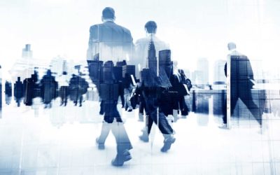 Report di sostenibilità: dal 2017 è legge per le grandi aziende.