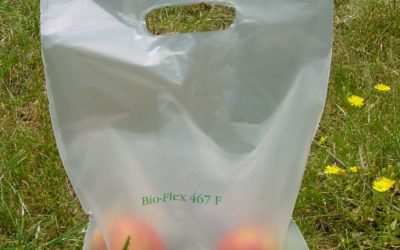 Non perdiamoci in un bicchiere d'acqua. Specie se di plastica