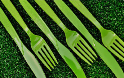 Cosa dicono le linee guida della Direttiva Europea sulla plastica monouso