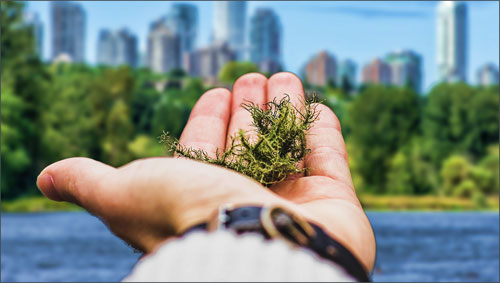 Marco Mari, Presidente Green Building Council Italia: «L’unica edilizia possibile è l’edilizia sostenibile»