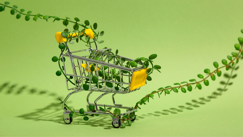Carrello del supermercato con piante, a rappresentare il green marketing