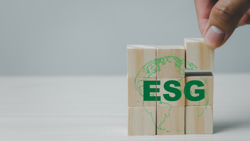 Mattoncini con scritta ESG